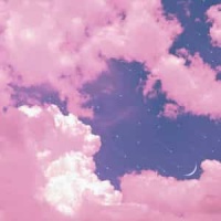 Elastic_Nobody.One