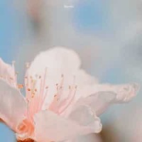 Load Me Up_Matthew Good Band