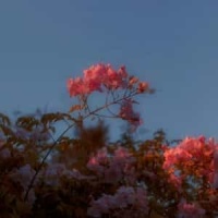 Один Oтвет_Lumen (Russia)