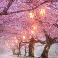 Reach For The Sky_Vinnie Moore