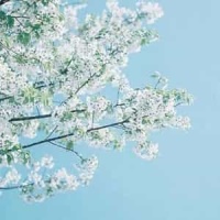 Solfeggietto_Carl Philipp Emanuel Bach