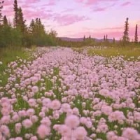 Make It Home_I, Embodiment