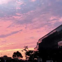 Vivo Por Ella_Andrea Bocelli