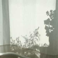No Marionette_SIAM SHADE