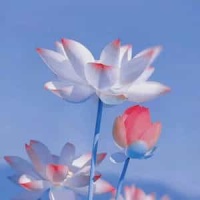 Terrorwave_生 Conform 死