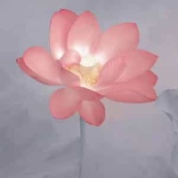 Living Well Is The Best Revenge_R.E.M.