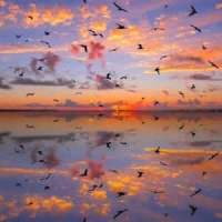 Melodic Minor_Pat Martino