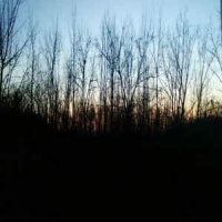 Dark Side Of The Sun_Tokio Hotel