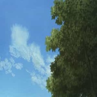 Little Wing_Toto