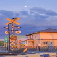 Minuet In D_George Frideric Handel