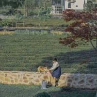 Flight Of The Thunderbird_Richard L. Saucedo