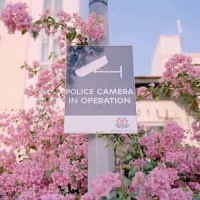 Ginette_Beau Dommage