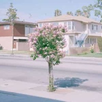 Дотянуться До Звезды_Lumen (Russia)