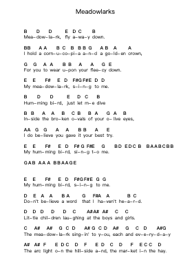 Meadowlarks Note letterarie per pianoforte di Fleet Foxes - Arr.Walshfox