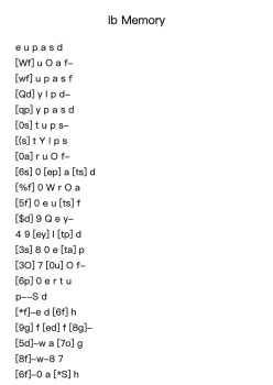 Ib Memory