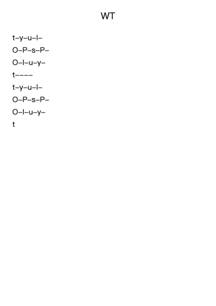 WT