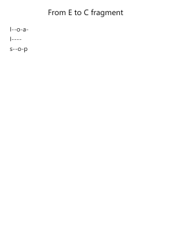 From E to C fragment