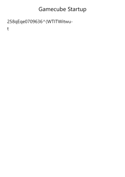 Gamecube Startup