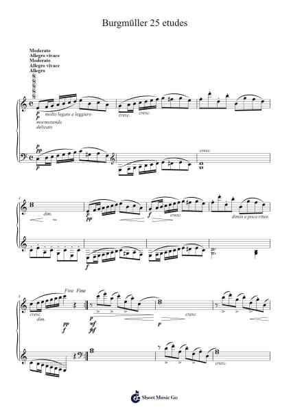 Burgmüller 25 etudes Sheet Music by -Arr.Quintle