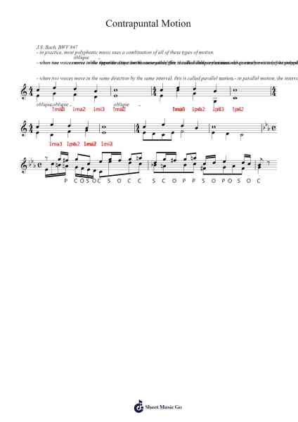 Basic Principles: Contrapuntal Motion Sheet Music by Popthus-Arr.Cherlius Bunearl