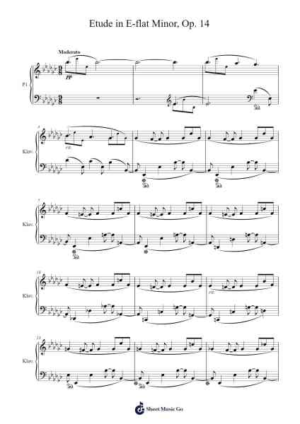 Etude in E-flat Minor, Op. 14 Sheet Music by Housexine Phoecie-Arr.Mollwalsh Dinions