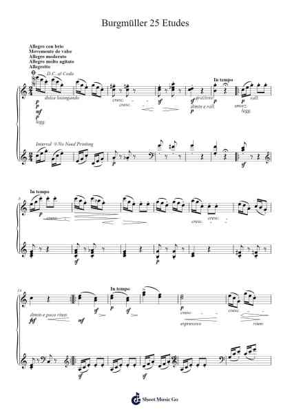 Burgmüller 25 Etudes Sheet Music by -Arr.Hearstjean