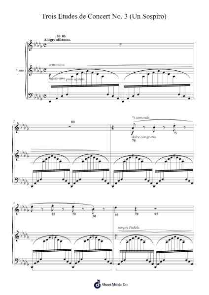 Trois Etudes de Concert No. 3 (Un Sospiro) Sheet Music by Franz Liszt-Arr.Buckclough Woogold