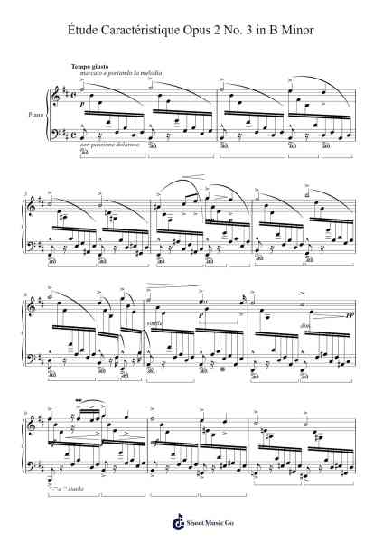 Étude Caractéristique in B Minor, Op. 2, No. 3 Sheet Music by Adolf von Henselt-Arr.Thonoah Brasam