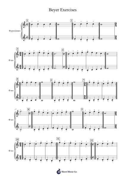 Beyer Exercises Sheet Music by -Arr.Efkirk