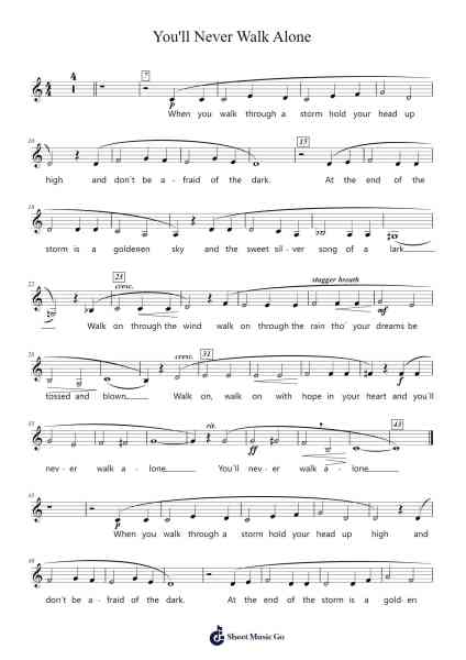 You'll Never Walk Alone Notenblatt von Rodgers & Hammerstein-Arr.Myrtours Hihill