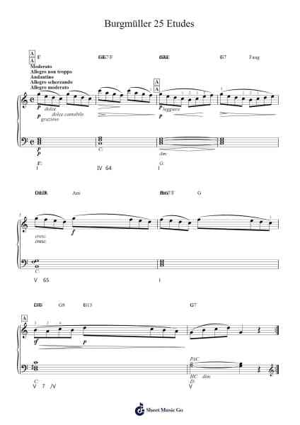 Burgmüller 25 Etudes Sheet Music by Friedrich Burgmüller-Arr.Dilliz Woolfsil