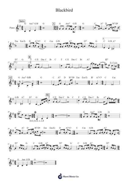 Blackbird