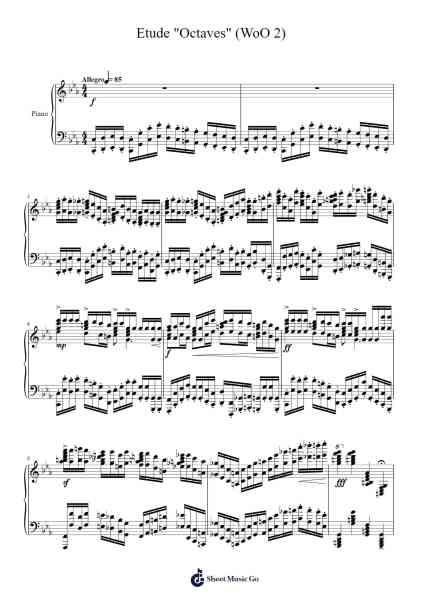 Etude "Octaves" (WoO 2) Sheet Music by Seon-Yong Hwang-Arr.Greenblack Xawilde