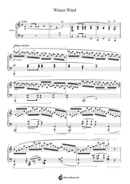 Etude in A Minor, Op. 25, No. 11 "Winter Wind" Sheet Music by Frédéric Chopin-Arr.Yedlis Nycol