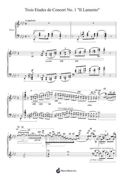 Trois Etudes de Concert No. 1 "Il Lamento" Sheet Music by Franz Liszt-Arr.Beroll