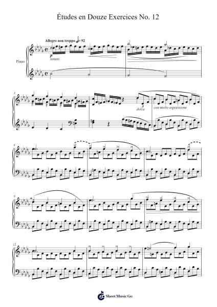 Études en Douze Exercices No. 12 Sheet Music by Franz Liszt-Arr.Dukim
