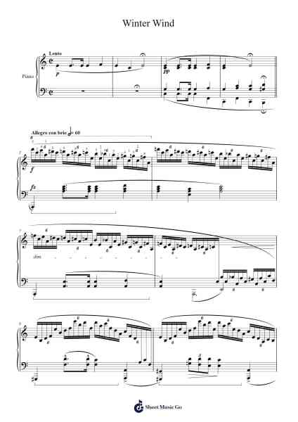 Étude Op. 25, No. 11 in A minor "Winter Wind" Sheet Music by Frédéric Chopin-Arr.Latckens