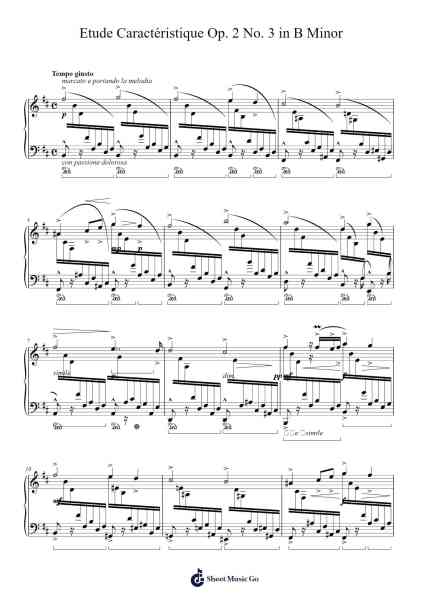 Etude Caractéristique in B Minor, Op. 2, No. 3 Sheet Music by Henselt-Arr.Buckclough Woogold