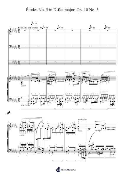 Studies on Chopin's Études No. 5 in D-flat major after Op. 10 No. 3 Sheet Music by Leopold Godowsky-Arr.Chilflower