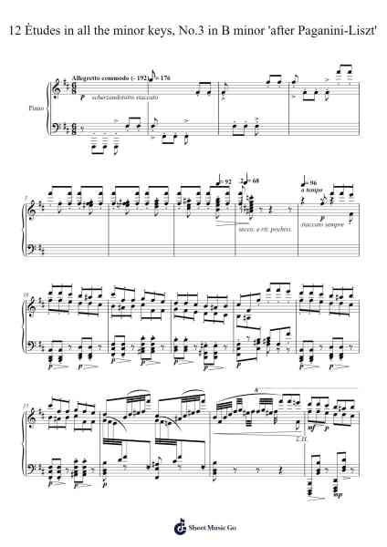 12 Ètudes in all the minor keys, No.3 in B minor 'after Paganini-Liszt' Sheet Music by Marc-André Hamelin-Arr.Dempron Jacbess