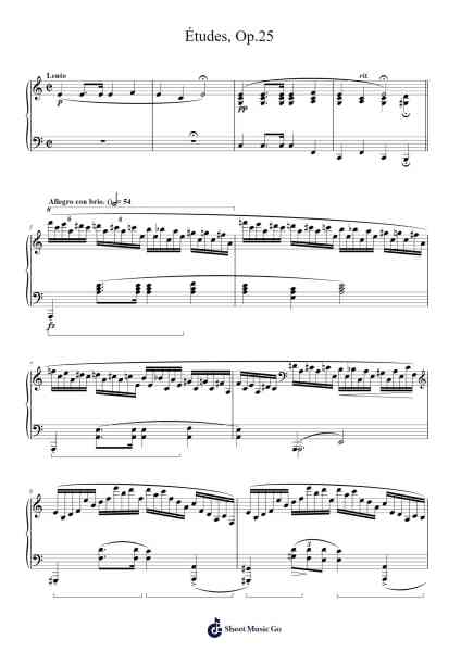 Études, Op. 25 Sheet Music by Frédéric Chopin-Arr.Sibylmos Fordridge
