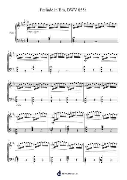 Prelude in Bm, BWV 855a Sheet Music by Johann Sebastian Bach-Arr.Vicnick Hoodpy