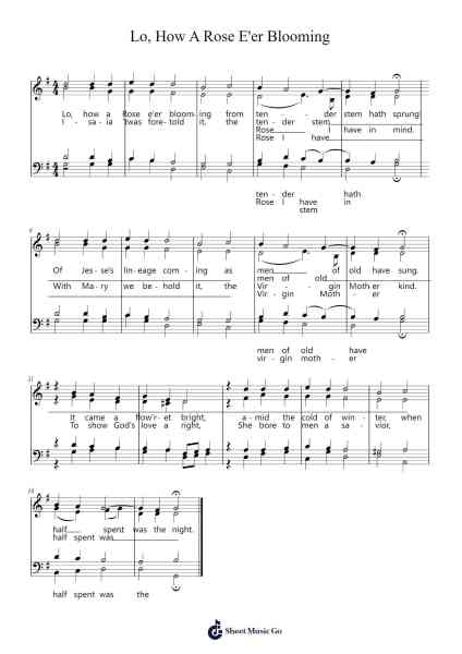 Lo, How A Rose E'er Blooming Sheet Music by Michael Praetorius-Arr.Too