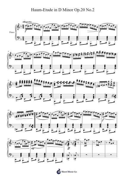 Etude in D Minor, Op. 20 No. 2 Sheet Music by Viomin-Arr.Rosjay Sibylgale