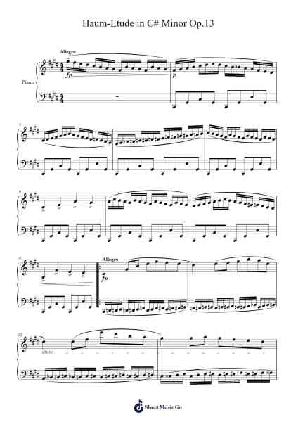 Etude in C# Minor, Op. 13 Sheet Music by Viomin-Arr.Gisbey Gregbins