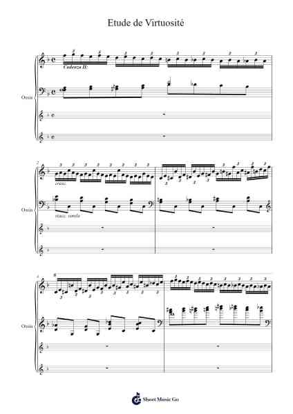 Etude de Virtuosité Sheet Music by Volodos-Arr.Bardtrid