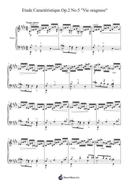 Etude Caractéristique in C♯ Minor, Op. 2, No. 5 "Vie orageuse" Sheet Music by Adolf von Henselt-Arr.Regwill Nalome