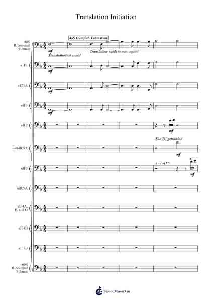 Translation Initiation Sheet Music by Toynjeff-Arr.Louann Bonpe