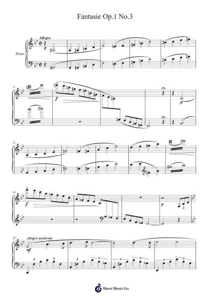 Fantasie Op. 1 No. 3 Sheet Music by Leithey Virene-Arr.Bilmons Magmeg