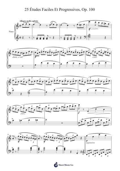 25 Études Faciles Et Progressives, Op. 100 Sheet Music by Friedrich Burgmüller-Arr.Lesvien Billjay